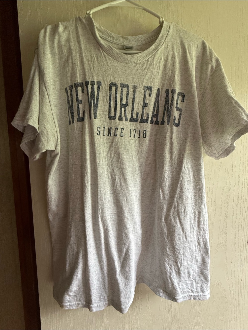 New Orleans Graphic Tee - Light Gray